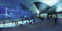 Whale-Inspired Pavilions Image 5