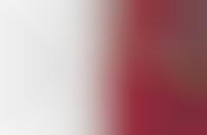 Floral Projection Photoshoots