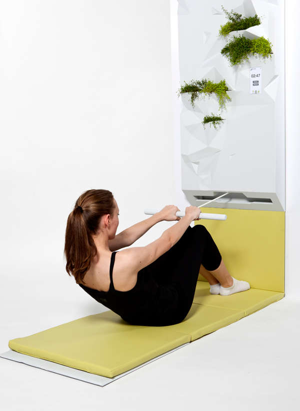 Disguised Fitness Equipment