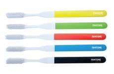Paint Chip-Inspired Toiletries
