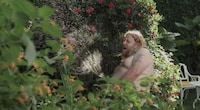 Nude House Chore Commercials Image 5