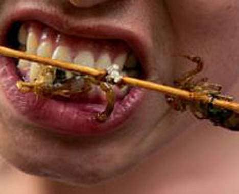 30 Peculiar Pickled Innovations