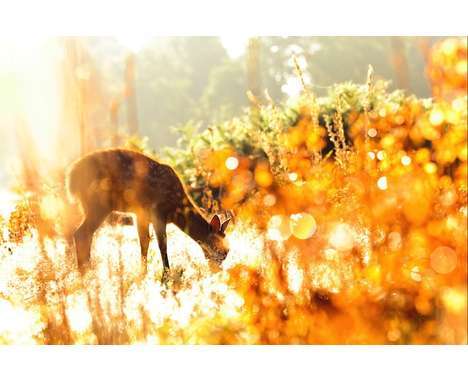100 Foliage Art Features