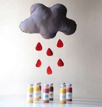 Colorful Cloud Juice Branding Image 6