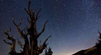 Wondrous Time Lapse Videos Image 5