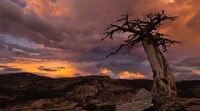 Wondrous Time Lapse Videos Image 8