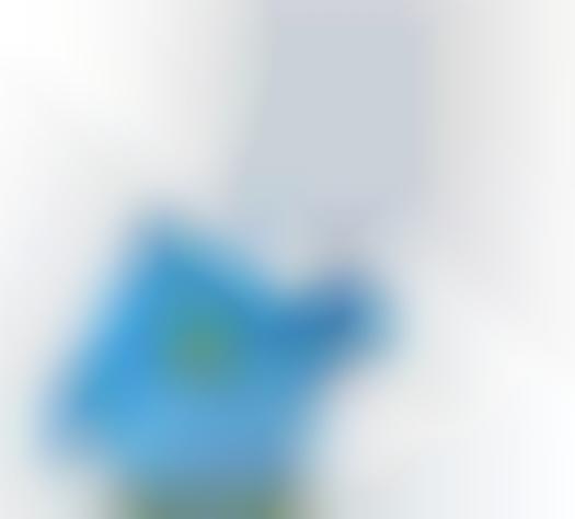 Twitter Airline Tickets