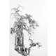 Hammered Chinese Paintings Image 3