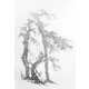 Hammered Chinese Paintings Image 8
