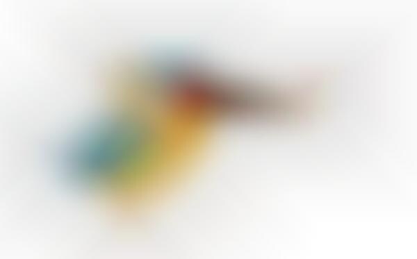 Abstract Avian Renderings