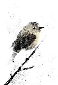 Abstract Avian Renderings Image 2