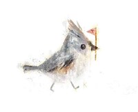 Abstract Avian Renderings Image 6