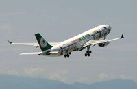 Upscale Feline Airports Image 2