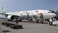 Upscale Feline Airports Image 4