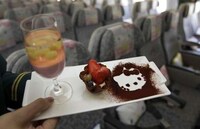 Upscale Feline Airports Image 7