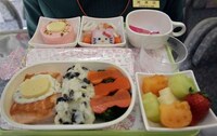 Upscale Feline Airports Image 8