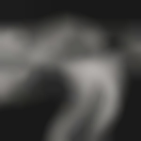 Grayscale Nocturnal Skylines 