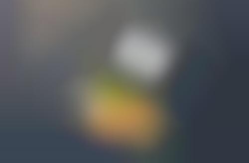 Swallow-Able Pill Notifications