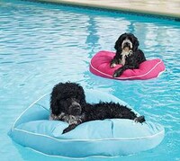 Puppy Pool Pads Image 4