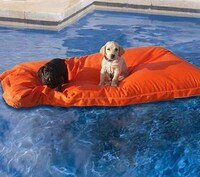 Puppy Pool Pads Image 5