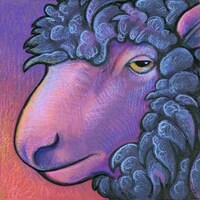 Expressive Animal Close-Ups Image 2