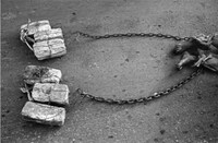 Cuban Capital Captures Image 8