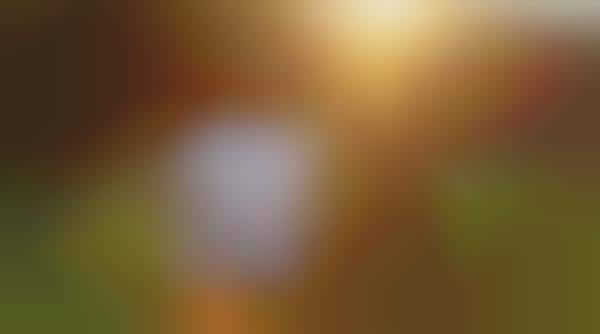 Sun-Seeking Appvertising
