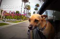 Hollywood Cruising Canines