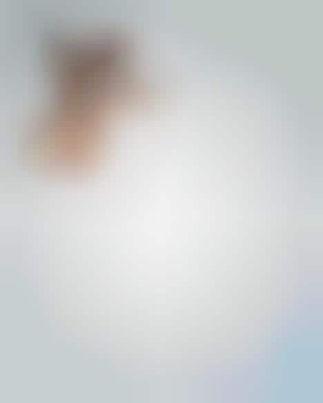 Animal Transfiguration Ads