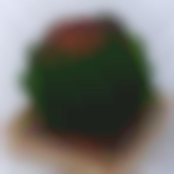 Gorgeous Gourmet Greenery