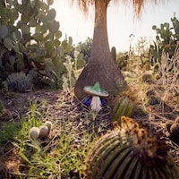 Down-Under Desert Captures Image 8