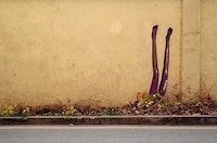 Hopeful Social Street Art Image 8