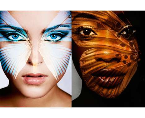 22 Elegant Carsten Witte Captures