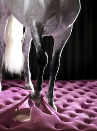Lucid Transitional Photography Image 6