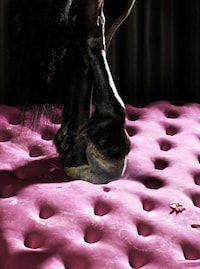 Lucid Transitional Photography Image 7