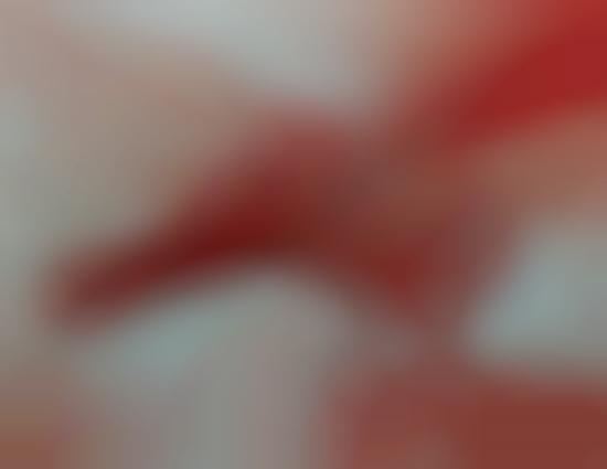 Bloody Crimson Canvases