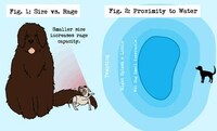 Comical Canine Charts