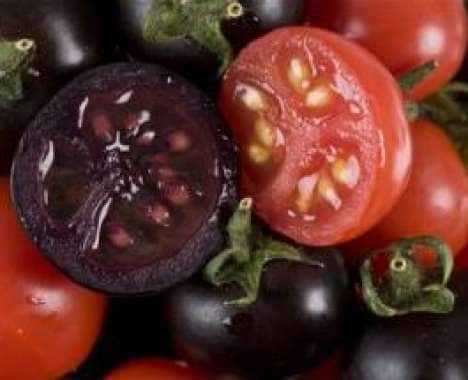 25 Anti-Cancer Food Concepts
