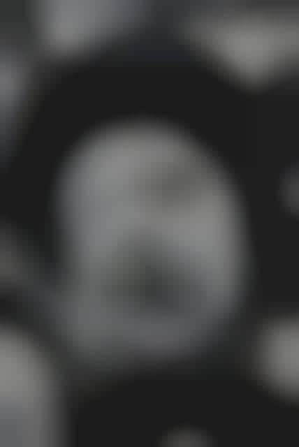 Warped Visage Portraiture