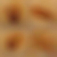 Deliciously Detailed Flapjacks Image 1