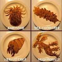 Deliciously Detailed Flapjacks