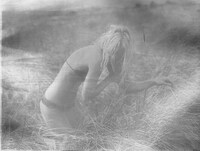 Barren Nostalgic Captures  Image 2