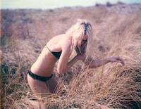 Barren Nostalgic Captures  Image 6