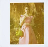 Retro Yellow-Tinged Editorials Image 4