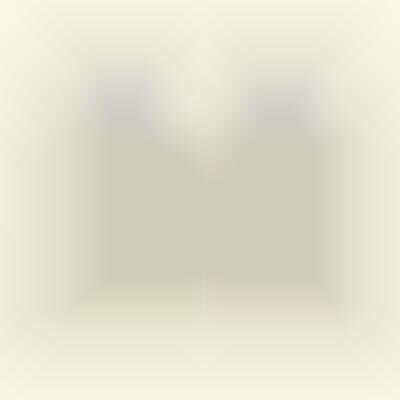 Pixelated Vulgar Vernacular Pictorials