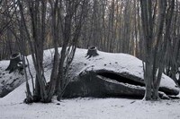 Staggeringly Misplaced Animal Scupltures Image 3