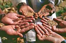 Inclusive Economic Development
