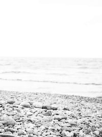 Lonesome Cowgirl Editorials Image 3