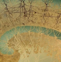 Traditional Japanese Neuron Paintings Image 3
