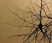 Traditional Japanese Neuron Paintings Image 4